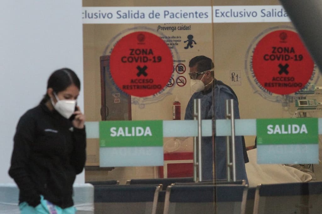 pico máximo por covid-19