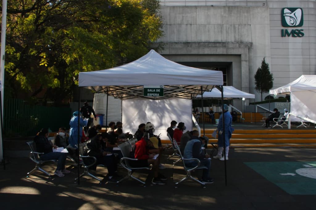 mortalidad de la cuarta ola