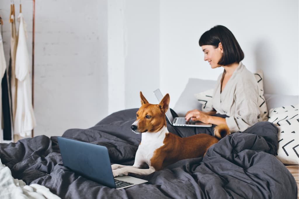 ¡La tecnología ha llegado para cuidar y consentir a los animalitos de casa! Checa esta lista de gadgets perfectos para cuidar a tu mascota