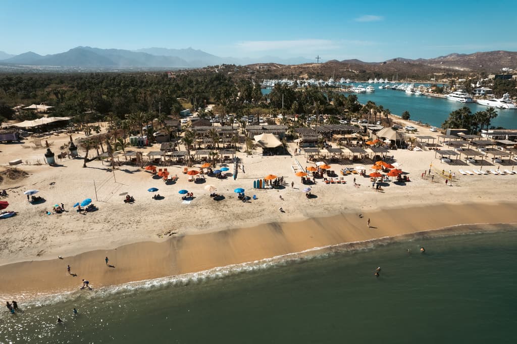 Cine, ballenas, playa, desierto y gastronomía en un mismo festival