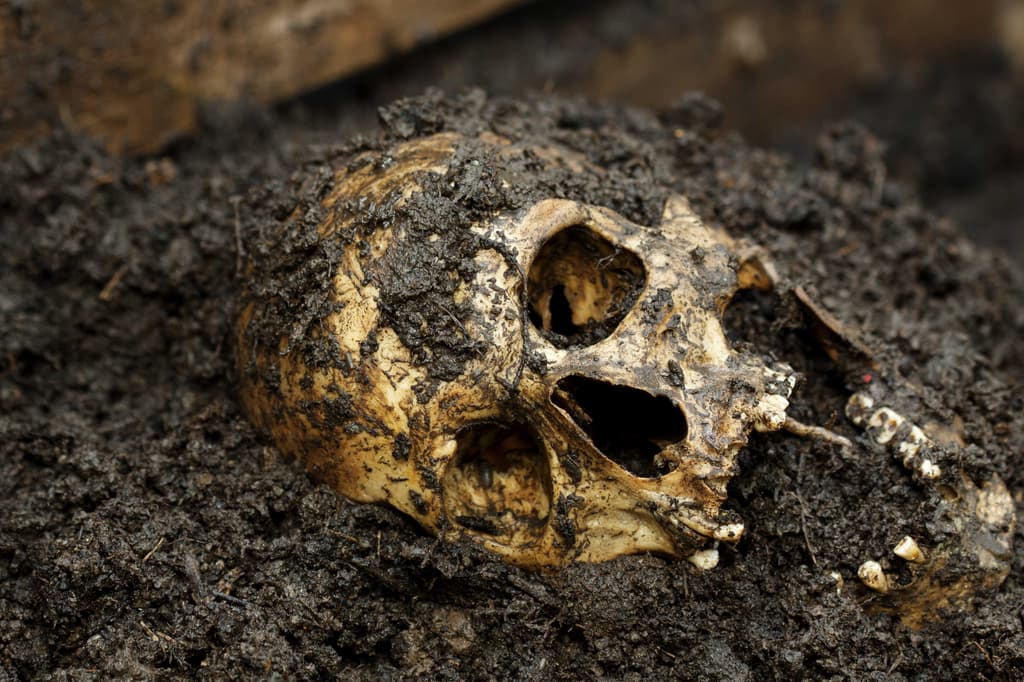 Según el Código Penal, el castigo por robar huesos puede ir de prisión de tres días a dos años o de 30 a 90 días multa.