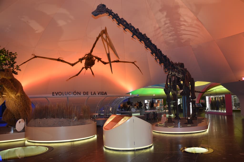museo de historia natural
