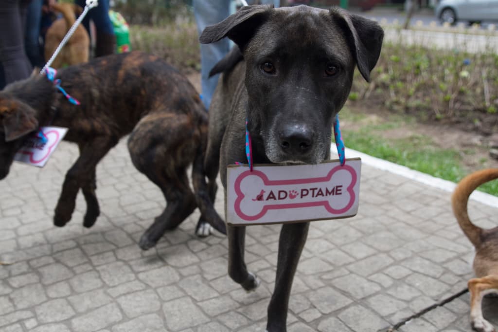 lugares para hacer donaciones