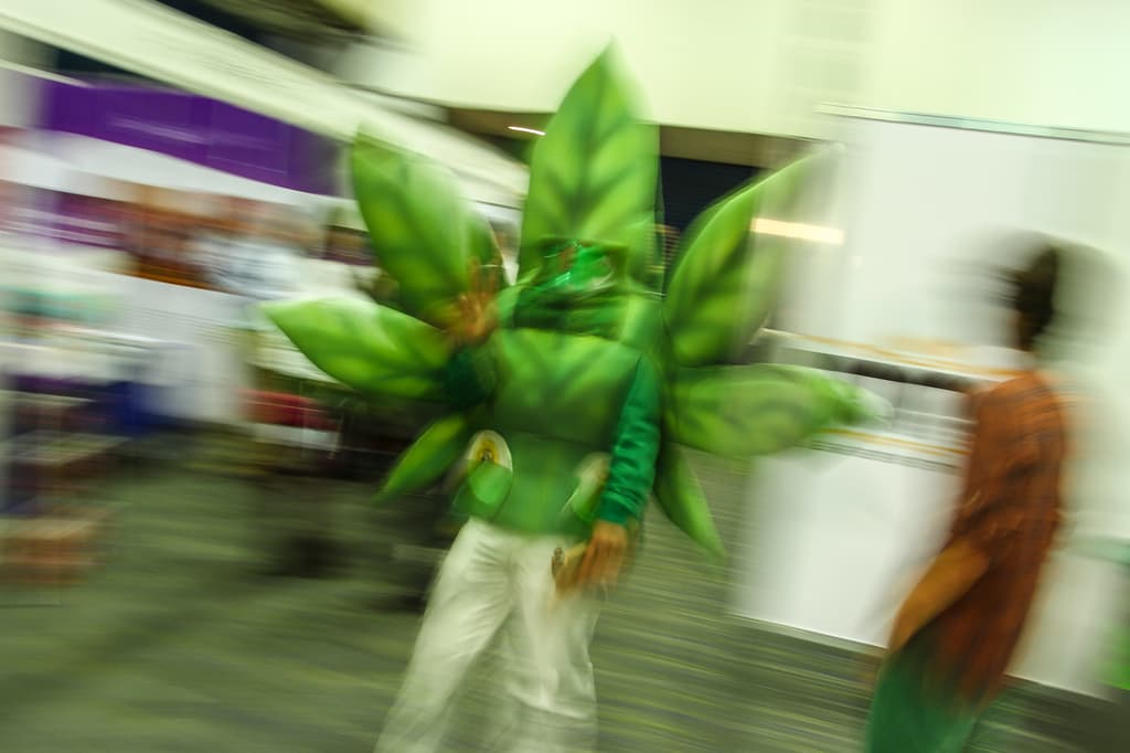 Encuentro Cannábico Primavera 2019 en la CDMX