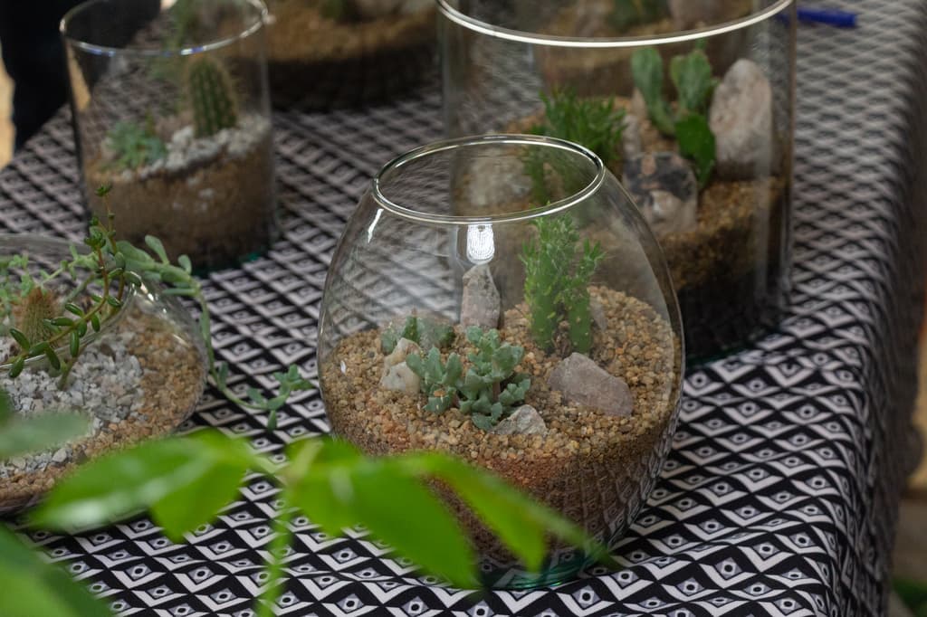 Plant Fest en la Santa María