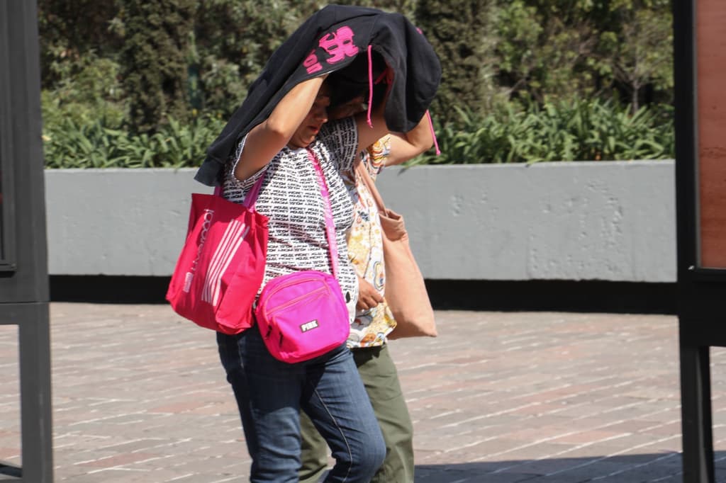 primera onda de calor de 2020