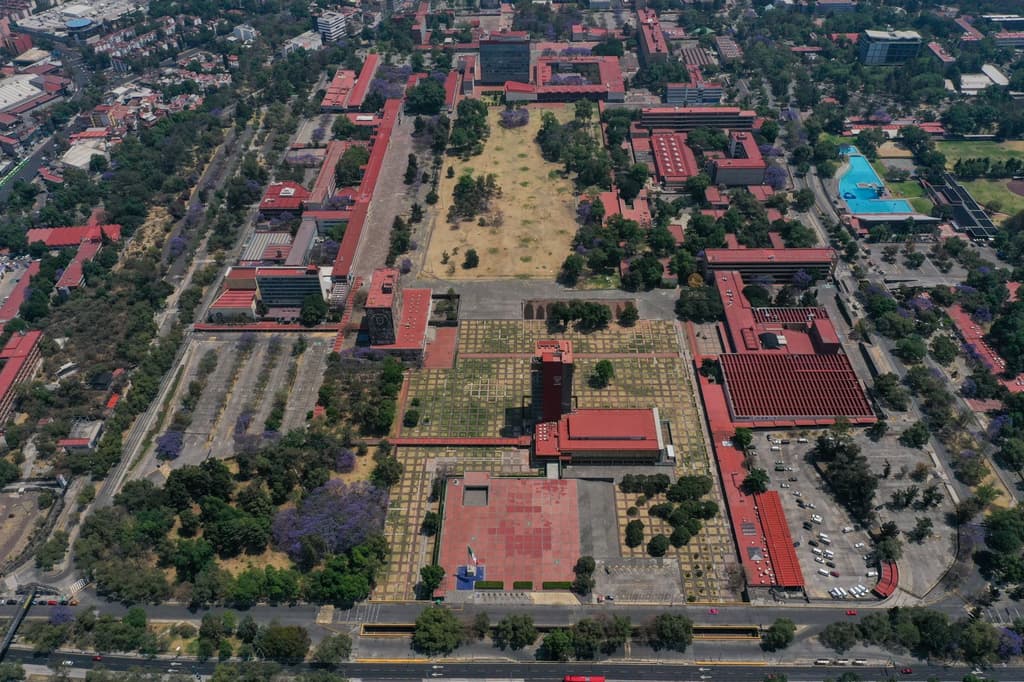 actividades en la UNAM