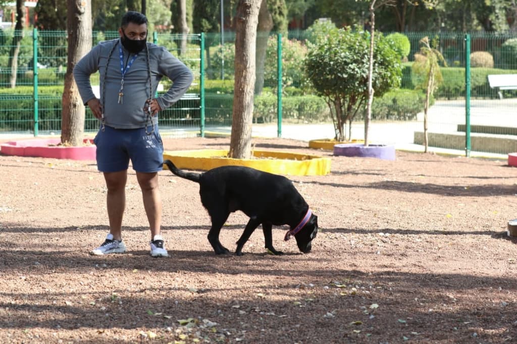 área canina en Tlatelolco