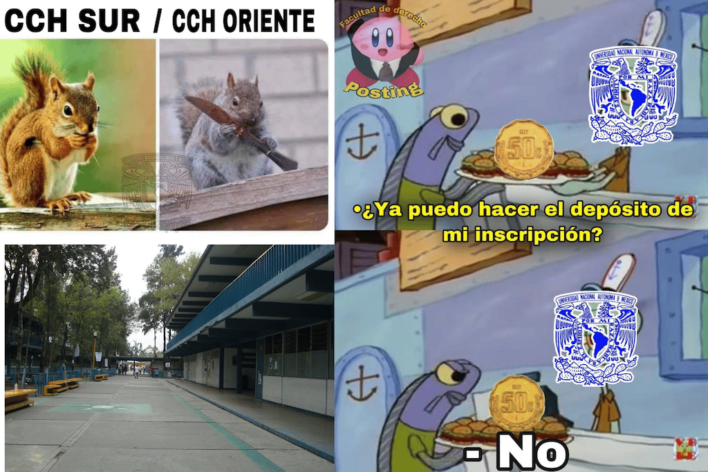 recuerdos del cch