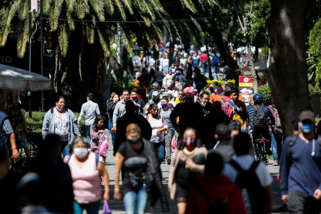 quinta avenida chilanga