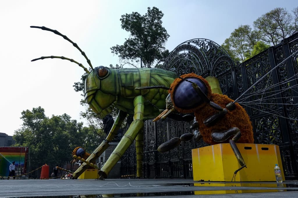 Insecta-Festival-del-Bosque-2022