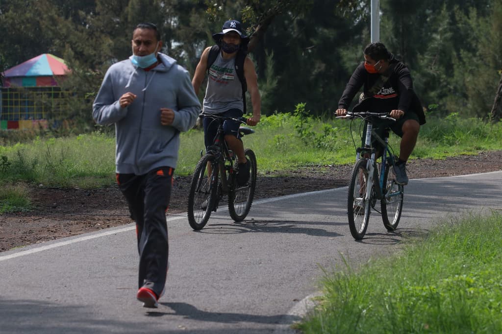 rehabilitación del bosque de tláhuac