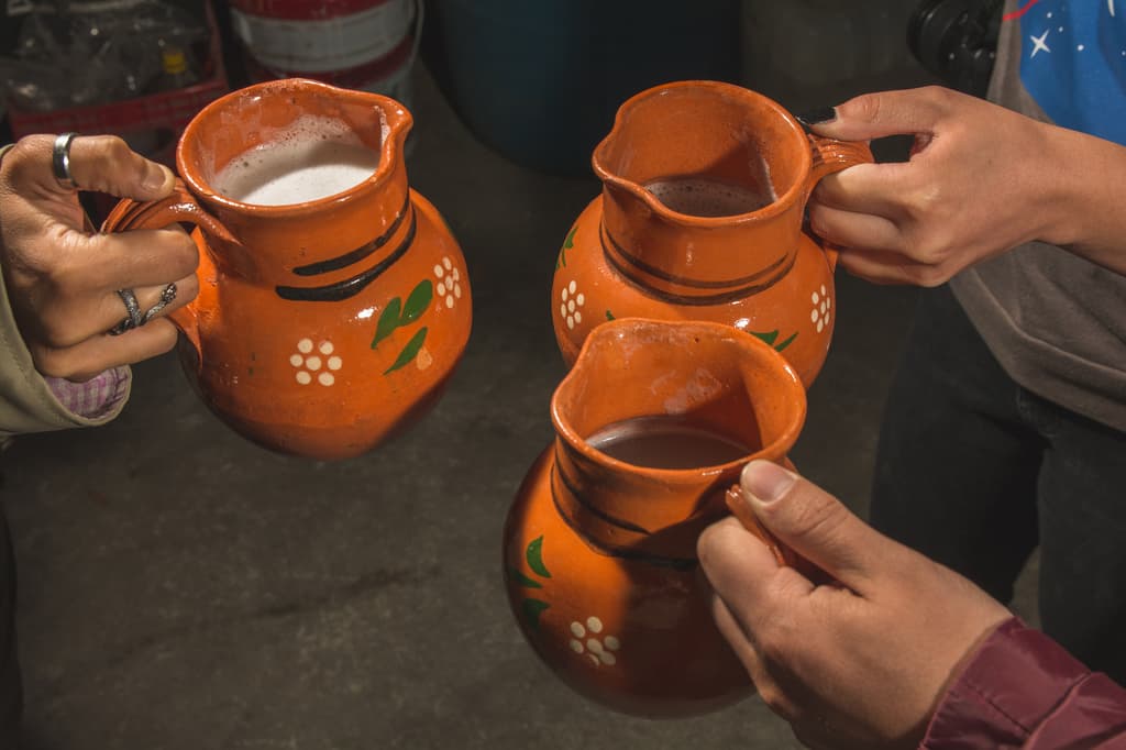 Festival del Pulque, salsa y nopal