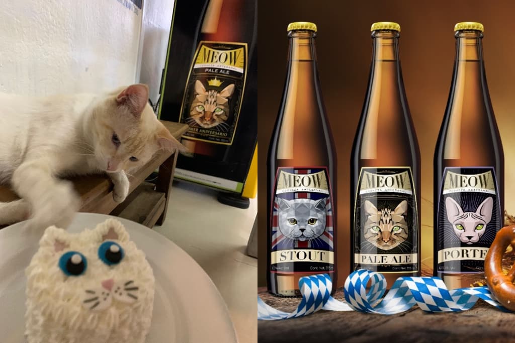 meow cerveza gatitos catfecito