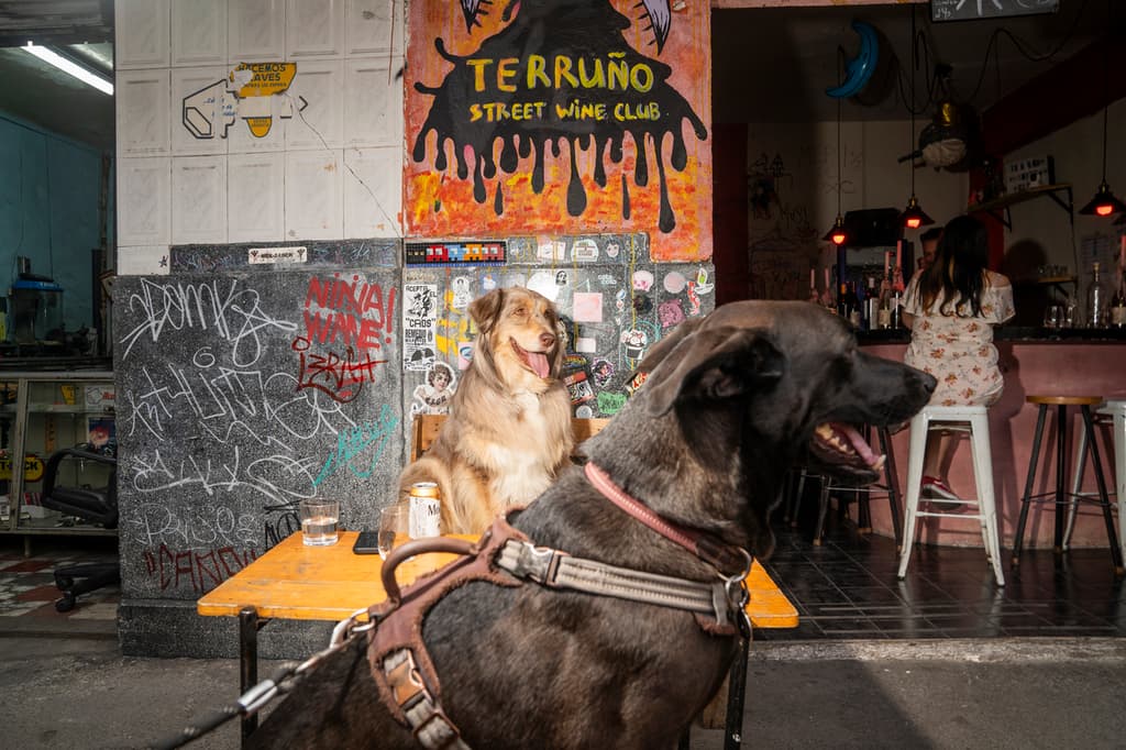 terruño bares cdmx