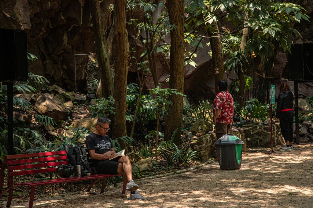 audiorama bosque de chapultepec