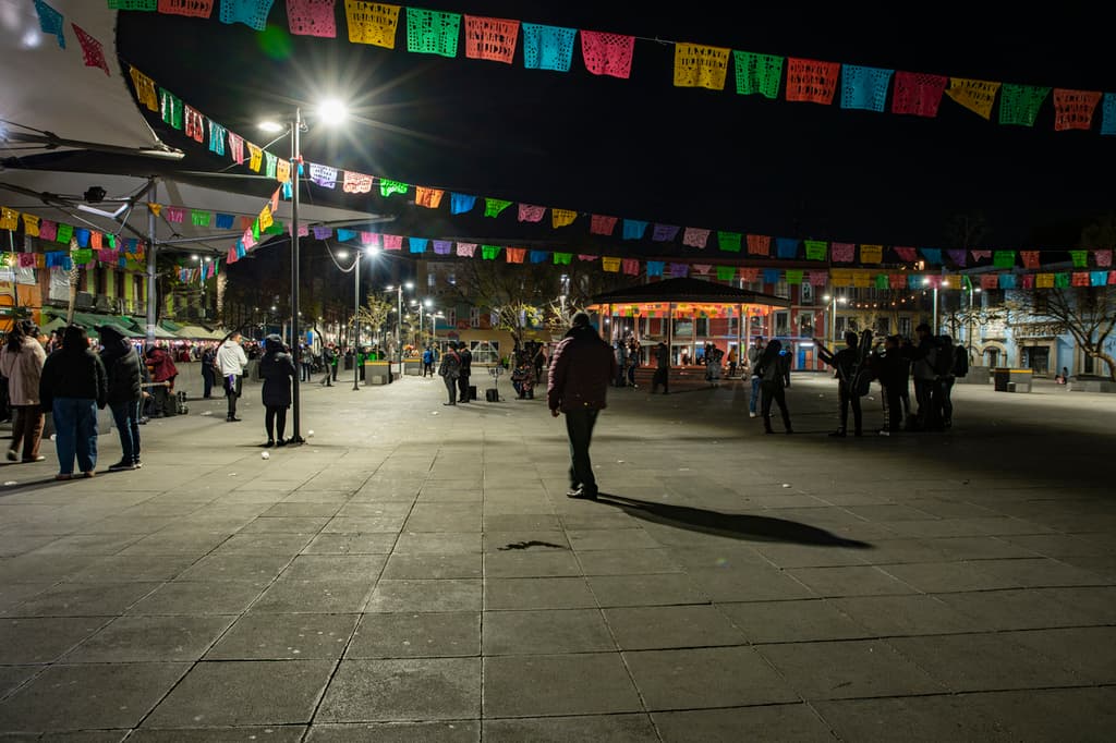 garibaldi noche noches cdmx