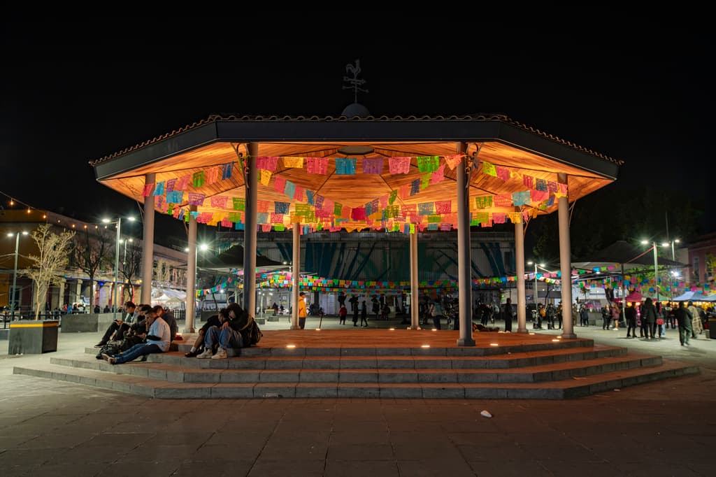 garibaldi noche noches cdmx