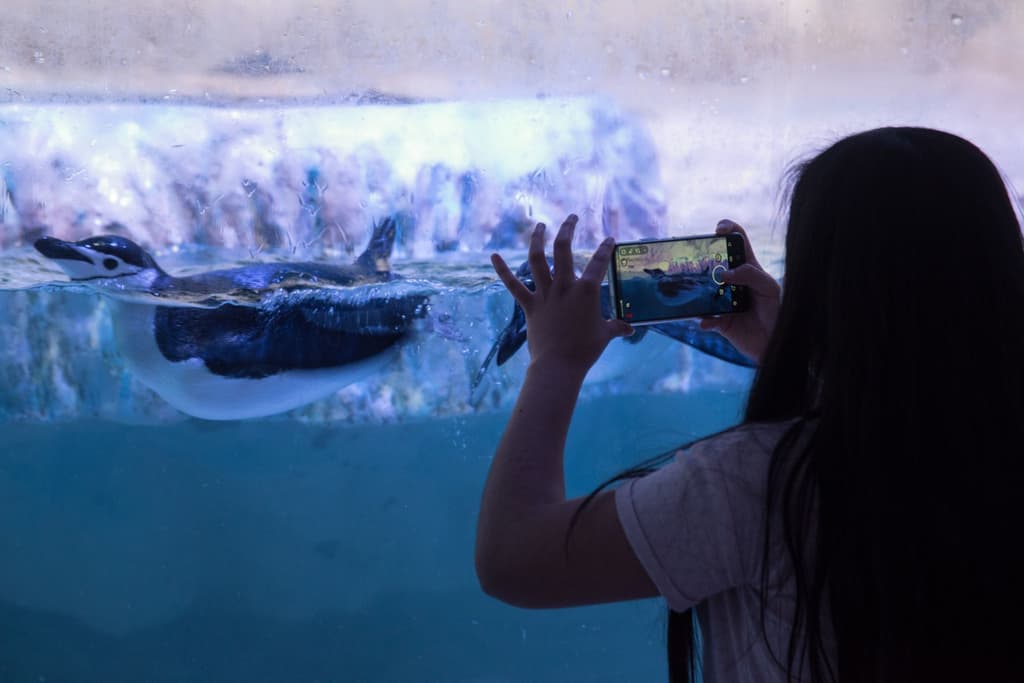 mega acuario de parque tepeyac