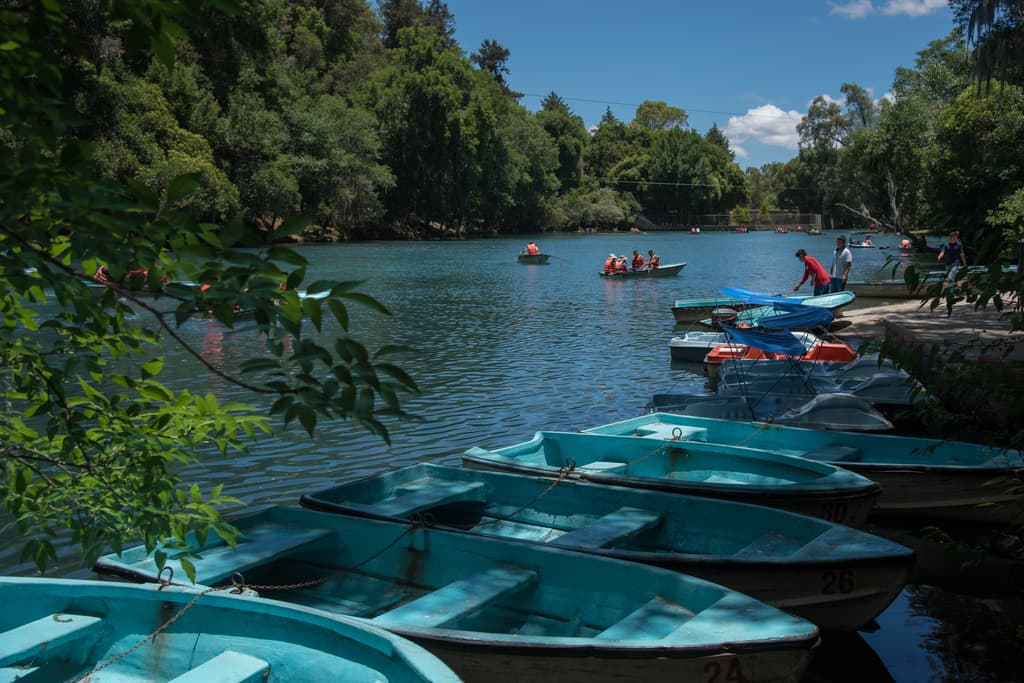 Bosque de las Truchas