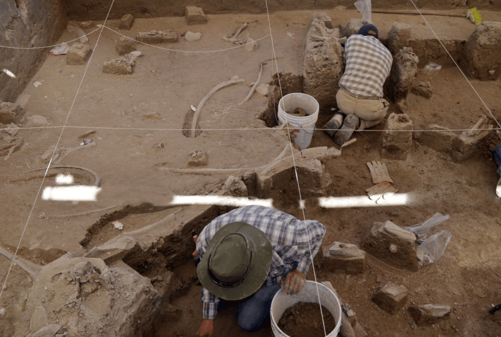 mamuts en el municipio de Tultepec