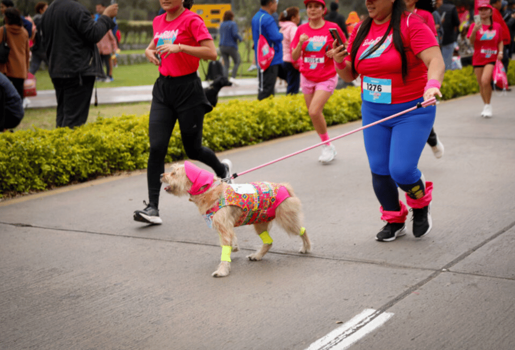 Inscripciones para Barbie Run 2026 en CDMX | Foto: Barbie Run