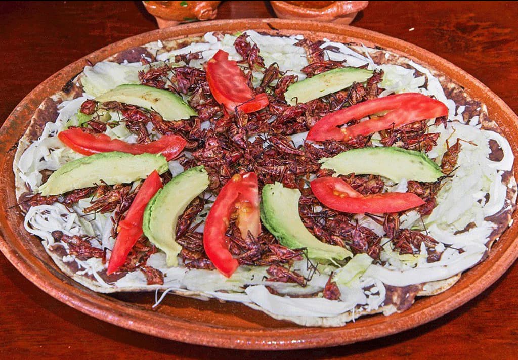 Tlayuda con chapulines del restaurante Qué Lindo es Oaxaca en CDMX.
