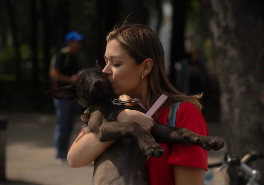 Adopta, no compres: Ve a la Segunda Caravana de Adopción de perritos en Reforma | Foto: Perra Vida 