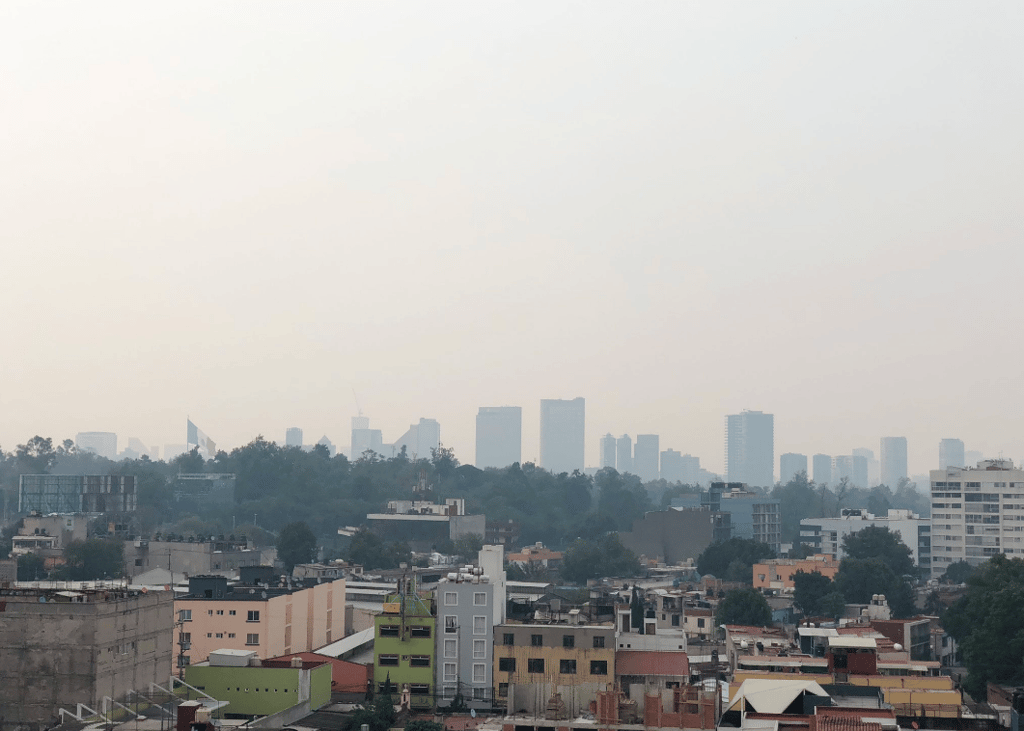 nuevo programa de contingencias