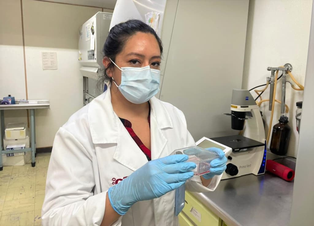 fármaco del ipn contra covid