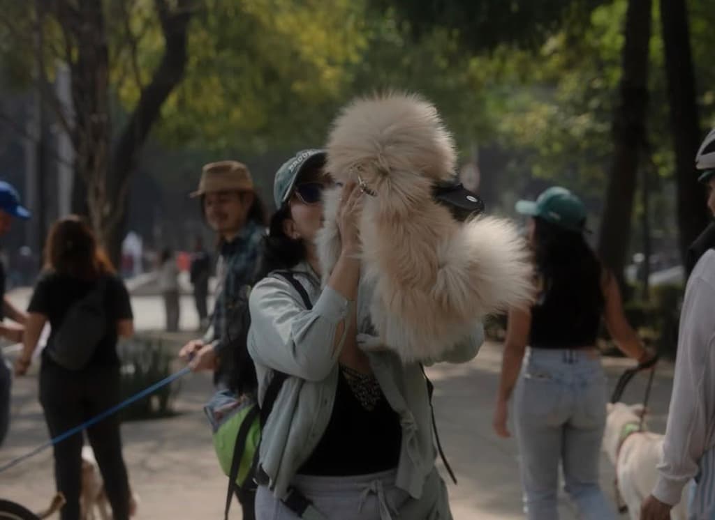 Adopta, no compres: Ve a la Segunda Caravana de Adopción de perritos en Reforma | Foto: Perra Vida 