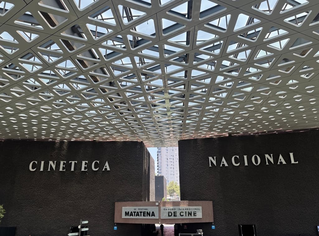Festival Internacional de Cine para Niños: funciones gratis y películas con conciencia | Foto: Liz Basaldúa 