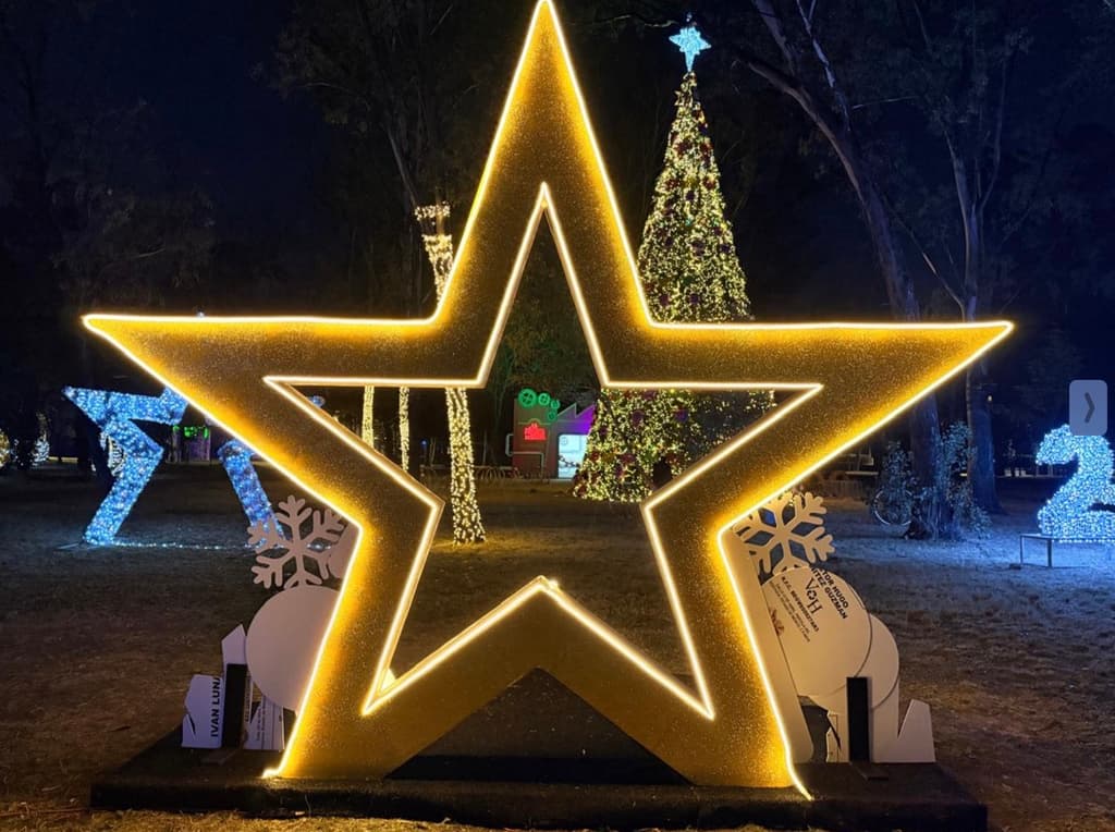 ¿Buscas un spot para tus fotos navideñas? Ve a Christmas Lights en Parque Naucalli | Foto: Liz Basaldúa