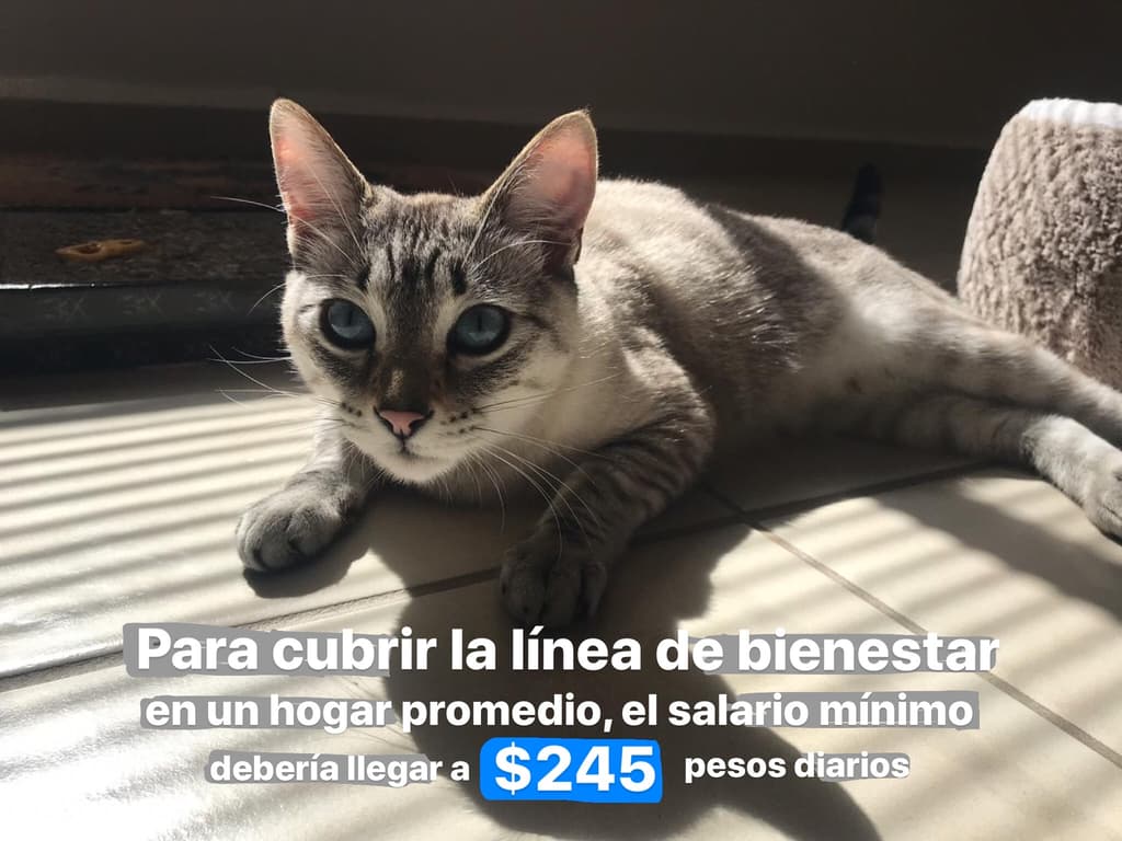 nuevo salario mínimo