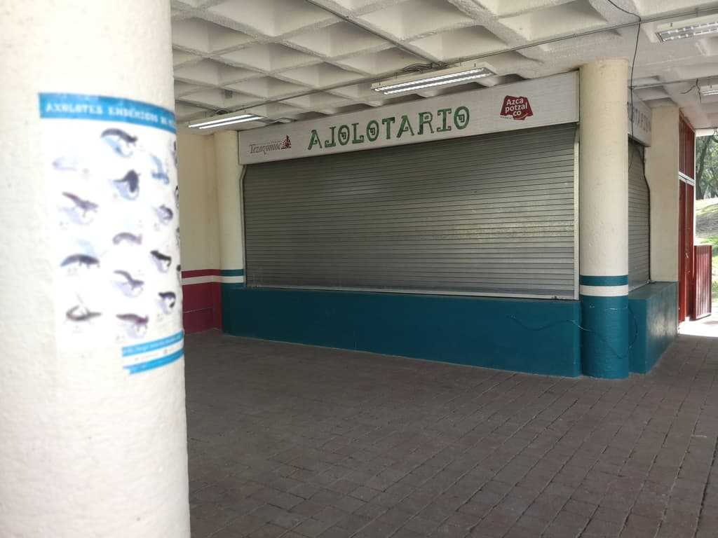 Ajolotario del Parque Tezozómoc