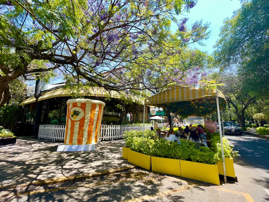 Festival de Flores y Jardines de Polanco 2025.
