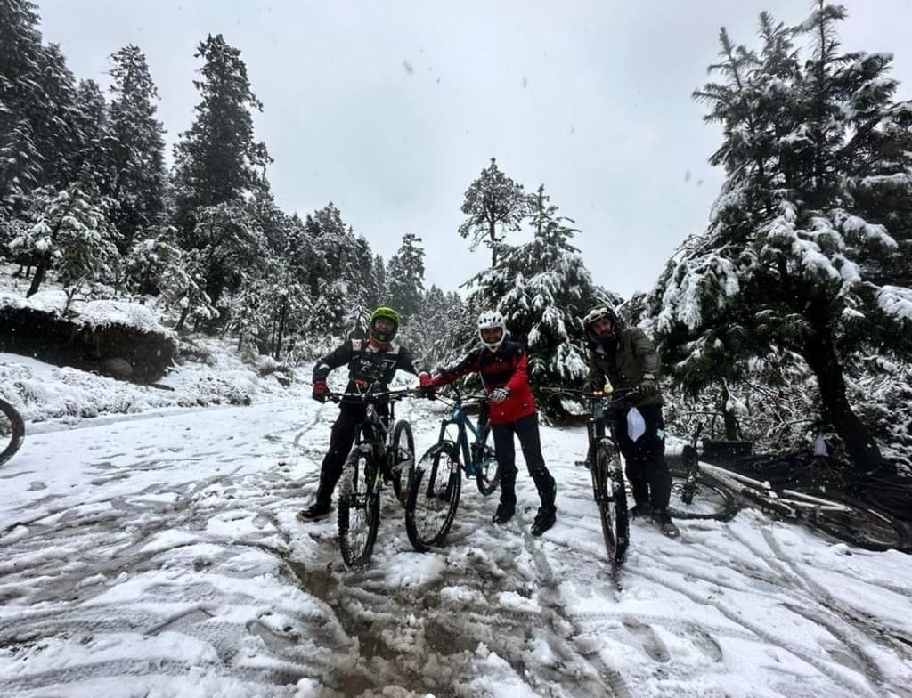 Así la nieve en CDMX este 17 de febrero de 2024 en el Desierto de los leones, alcaldía Cuajimalpa. Foto: X @supercivicosmx