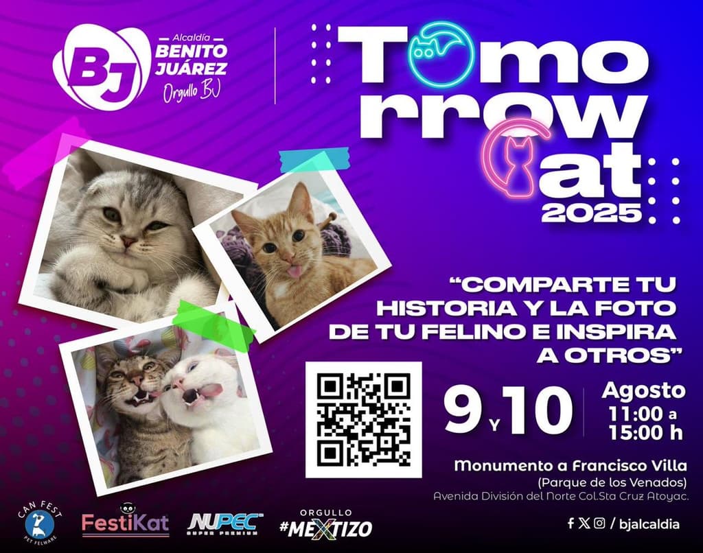 Tomorrow Cat 2025: el plan purr-fecto para los amantes de los michis en CDMX