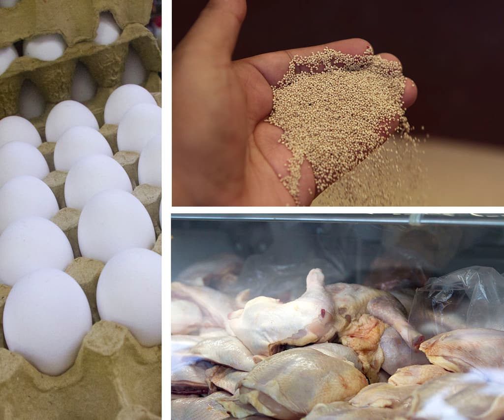 nueva canasta basica