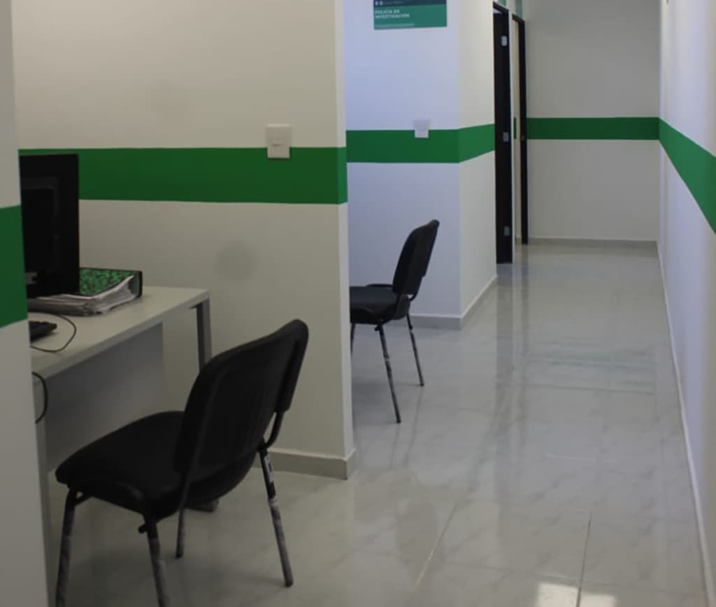 denunciar violencia de genero