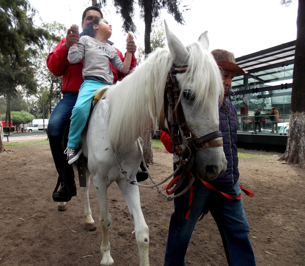 Equinoterapia en Eduardo Molina
