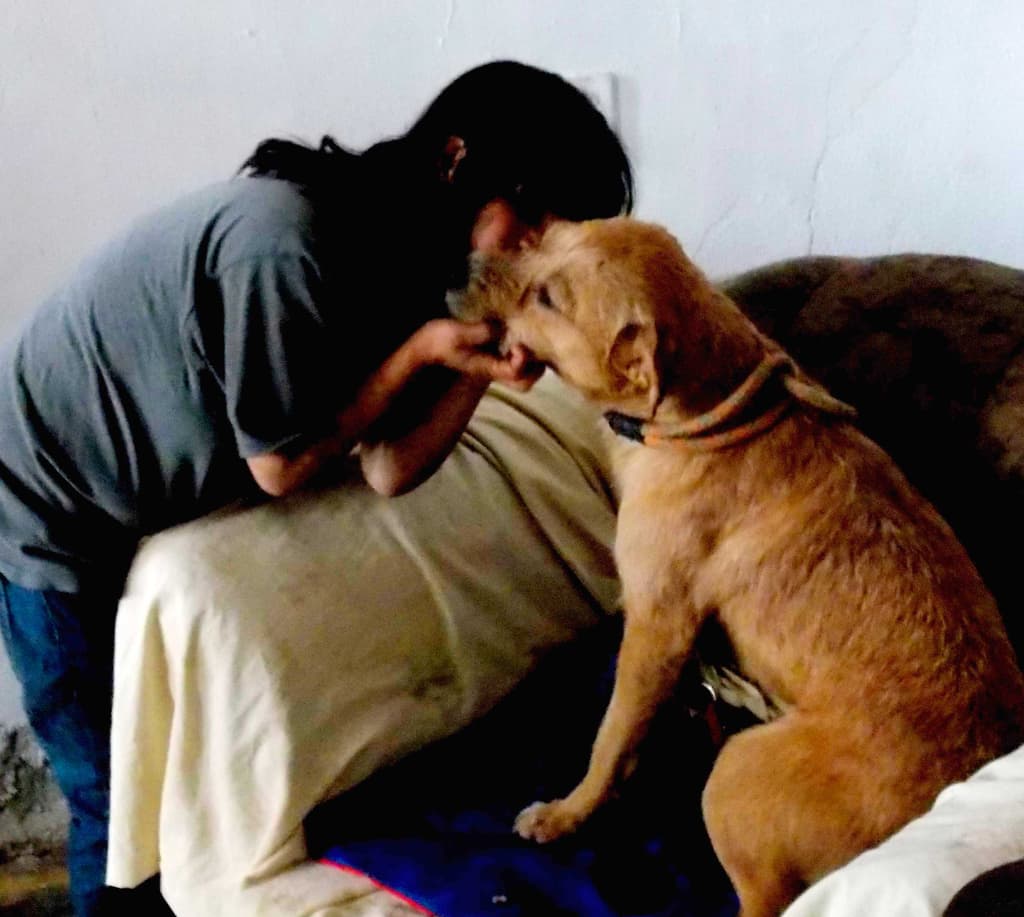 «Sólo con cariño y confianza se puede rehabilitar a un animal tan violentado»