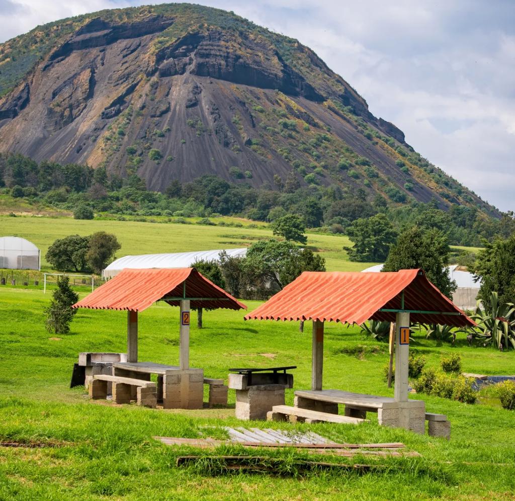 Entrada de $50 por persona al Festival del Papalote 2026 con granja, laberinto y palapas incluidas. 