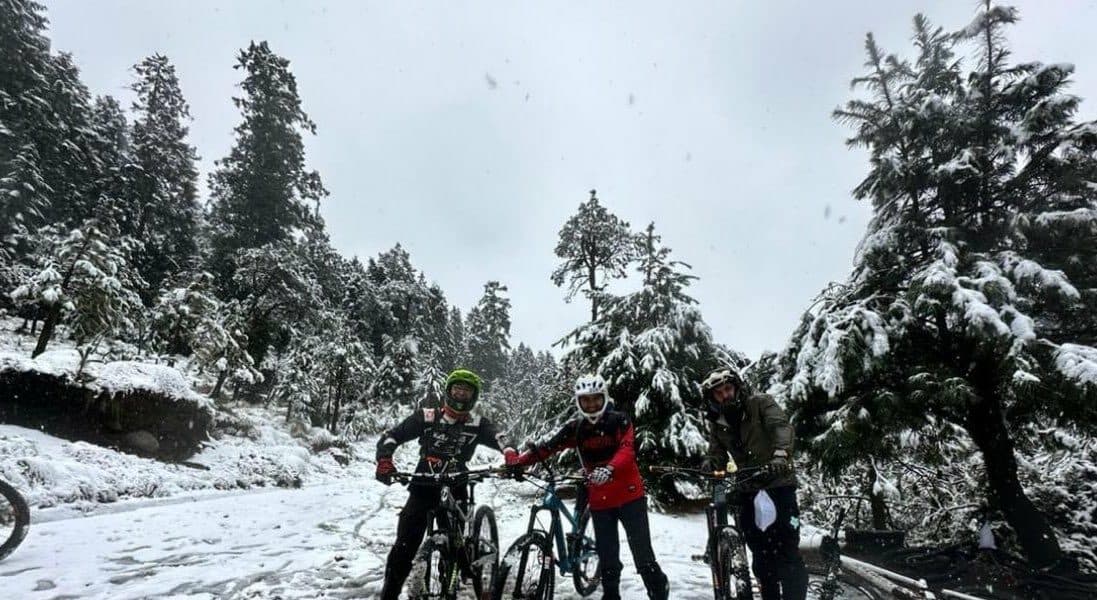 Así la nieve en CDMX este 17 de febrero de 2024 en el Desierto de los leones, alcaldía Cuajimalpa. Foto: X @supercivicosmx