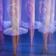 El Lago de los Cisnes con orquesta en vivo en CDMX ¡Imperdible!