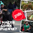Eventos gratis en CDMX el puente del 1 al 3 de mayo: Festival de Flores, Feria de la Barbacoa y nueva Utopía