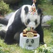 Xin Xin cumple 36 años y todos estamos invitados a su fiesta en Chapultepec