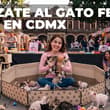 Michis en adopción, comida, bazar y más en el Gato Fest 2026 en CDMX: ¿cuándo y dónde será?