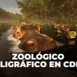 ¡Osos polares, dinosaurios y más! Conoce el nuevo zoológico holográfico de CDMX