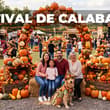 Bazar, espectáculo de hadas, música y más en el Festival de Calabazas 2026 cerca de CDMX